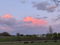 PinkClouds1
